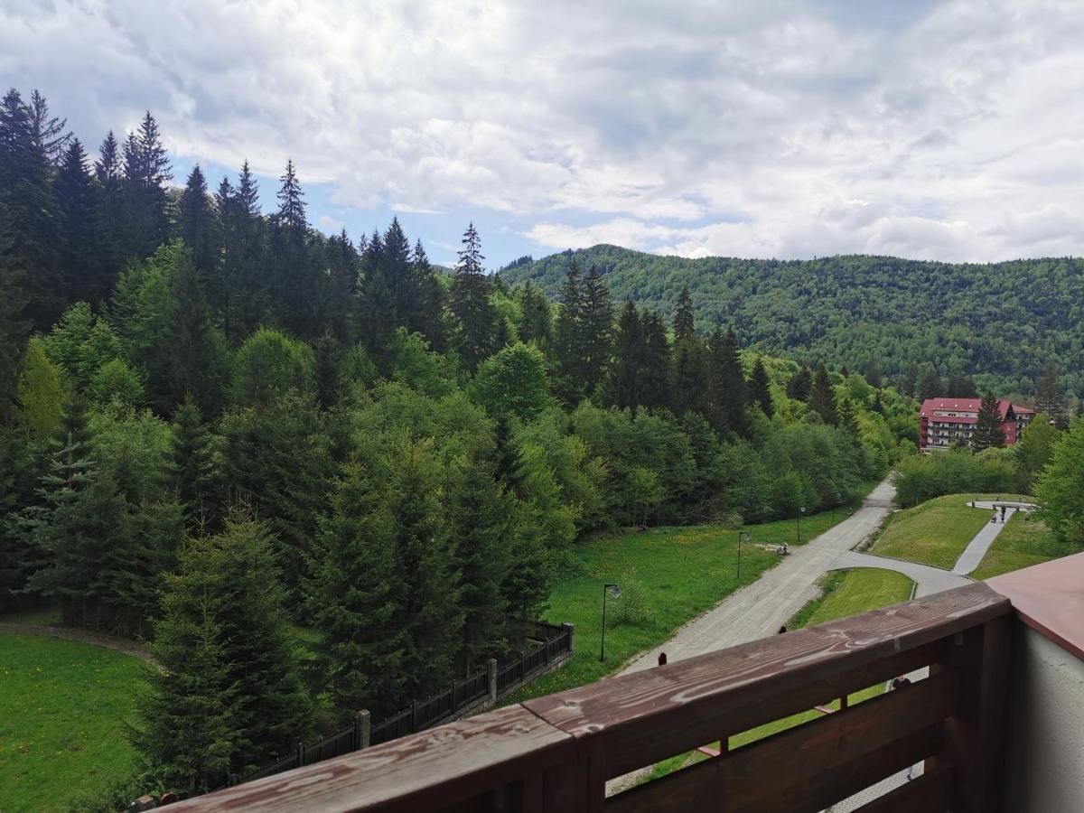 Monte Cervo Bio Hotel & Spa Covasna Eksteriør bilde
